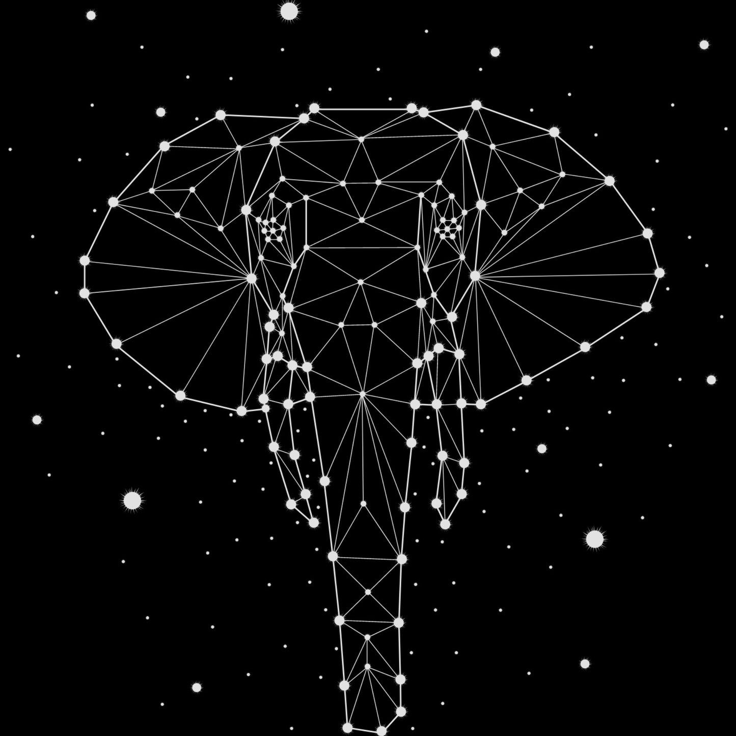 Elephant Constellation - Tumbler