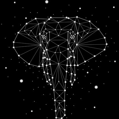 Elephant Constellation - Tumbler